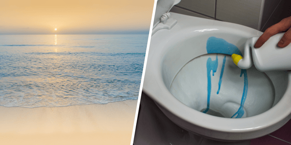 toilet cleaner banner 2 (2000 x 1000 px) (1)